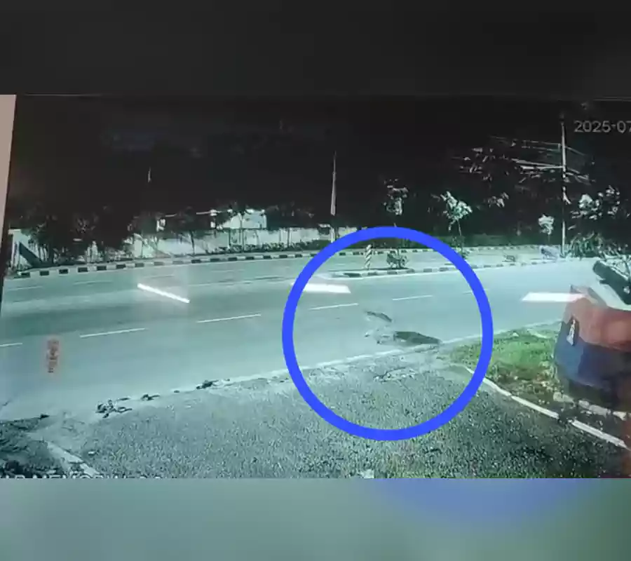 మంచిరేవులలో కనిపించి..ఇబ్రహీంబాగ్‌లో ప్రత్యక్షం