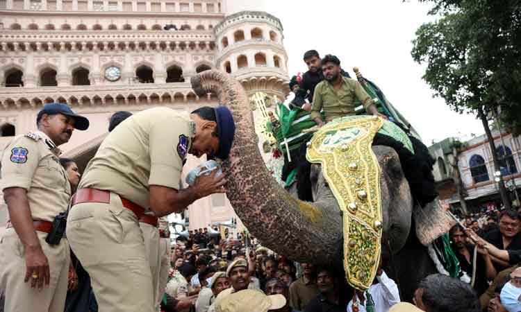 ప్రశాంతంగా బిబికా ఆలం ఊరేగింపు