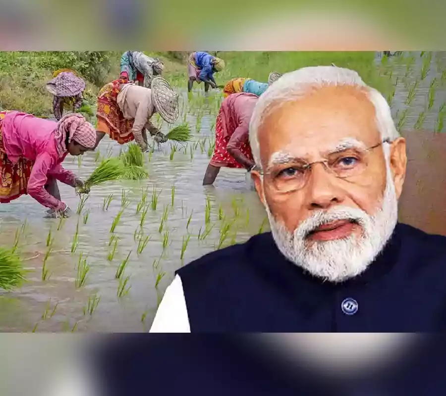 పీఎం ధన్‌ ధాన్య యోజనకు మోదీ కేబినెట్‌ ఆమోదం..