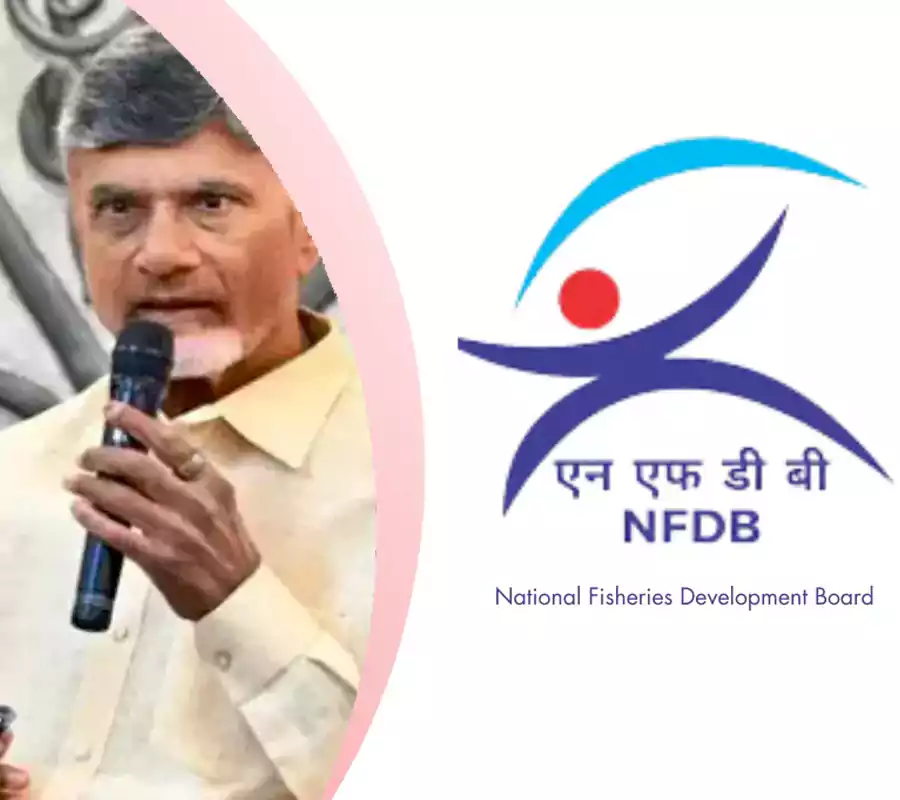 ఆ బోర్డును ఏపీకి తరలించండి.. కేంద్రానికి చంద్రబాబు లేఖ