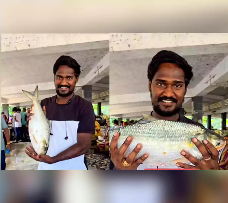 కేజిన్నర పులస వేలంలో రికార్డ్ బ్రేక్