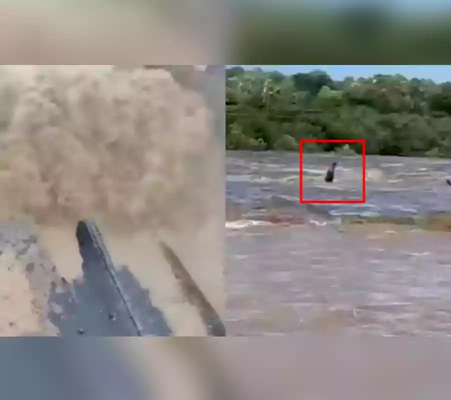 కడెం ప్రాజెక్టులో వరద ప్రవాహానికి కొట్టుకుపోయిన యువకుడు..!