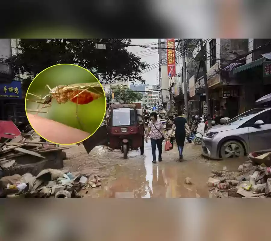 చైనాలో మరో వైరస్ కలకలం..