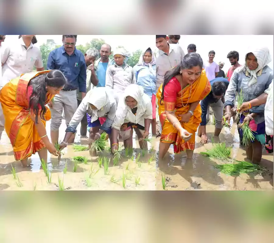 పొలంలోకి దిగి వరినాట్లు వేసిన హోం మంత్రి..