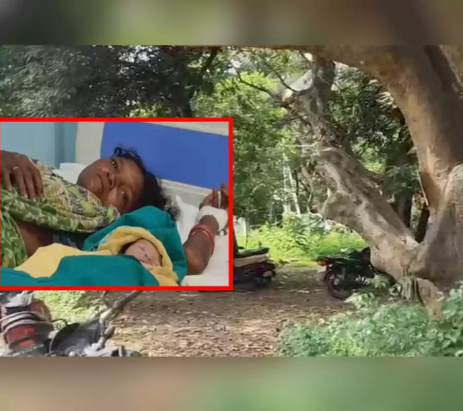 అయ్యో ఎంత కష్టం..! చెట్టు కిందే గర్భిణి ప్రసవం..