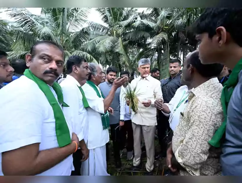 మొంథా తుఫాన్‌ నష్టంపై కేంద్రానికి ఏపీ ప్రభుత్వం ప్రాథమిక నివేదిక