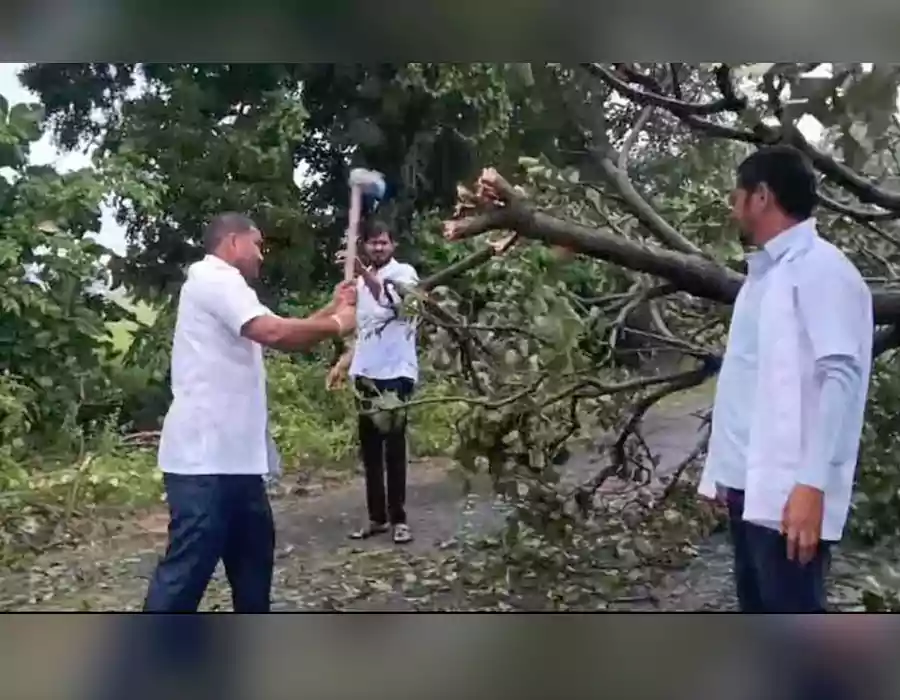 రెండు ప్రాణాలను కాపాడేందుకు..విరిగిన చెట్లను తొలగించిన 108 సిబ్బంది