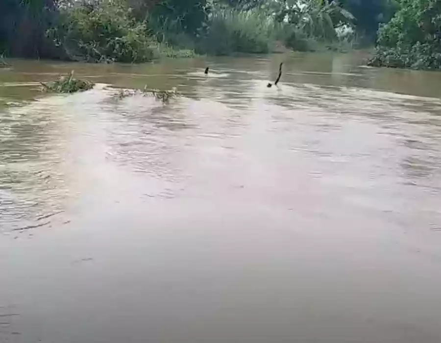 స్వర్ణముఖి నదిలో నలుగురు గల్లంతు.. ఇద్దరు మృతదేహాలు లభ్యం