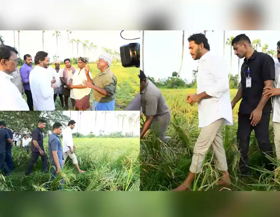 రైతులు కష్టాల్లో ఉంటే జల్సా టూర్లలో తండ్రీ కొడుకులు:జగన్ ఫైర్