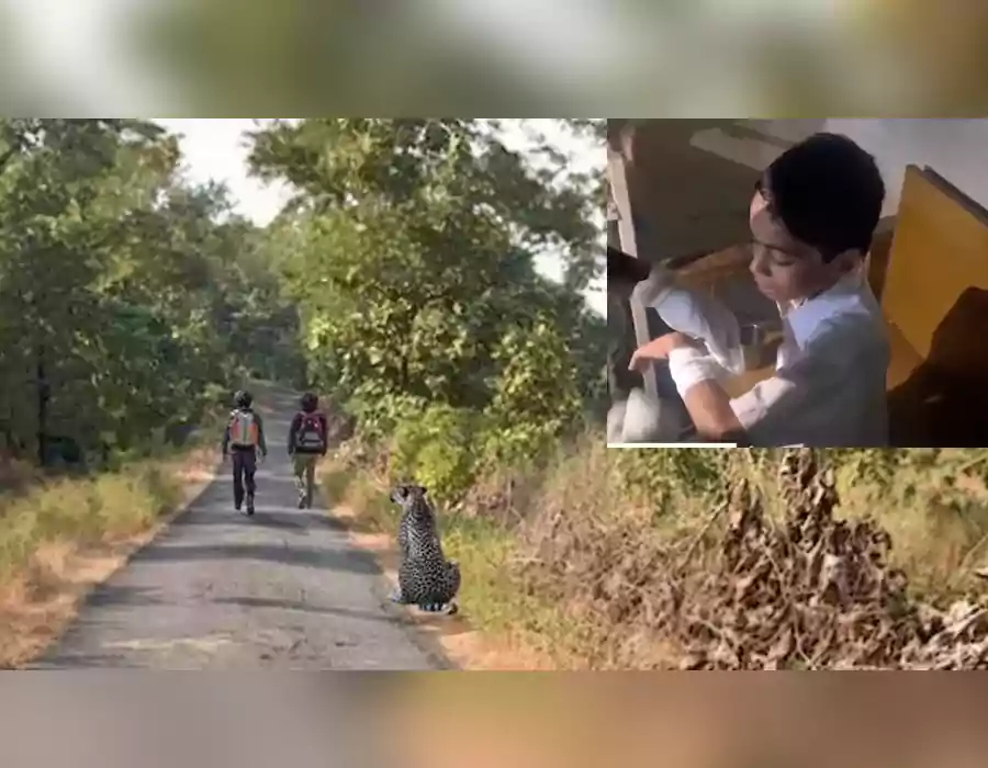 విద్యార్థిపై చిరుత ఎటాక్.. బాలుడు స్కూల్ బ్యాగుతో ఉండడంతో