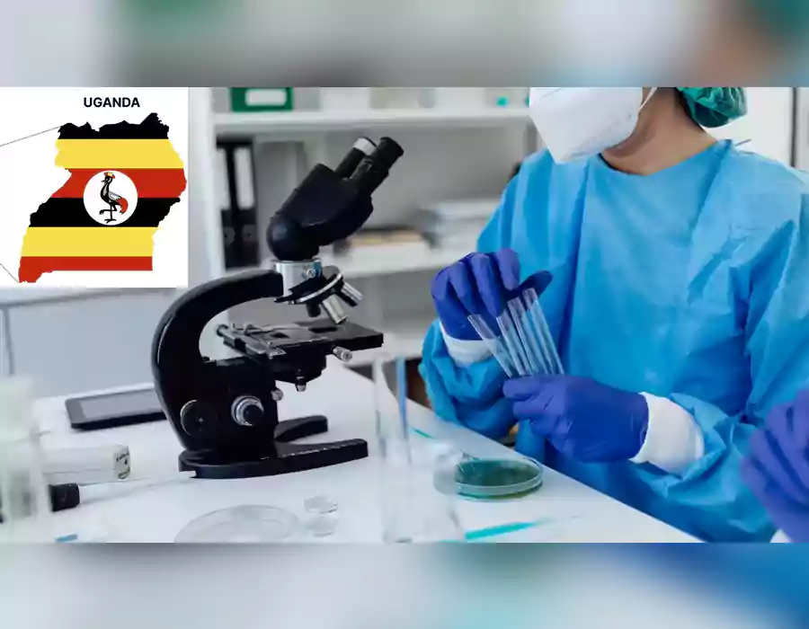 ఉగాండాలో DNA పరీక్షల సంచలనం. షాకవుతున్న తండ్రులు.