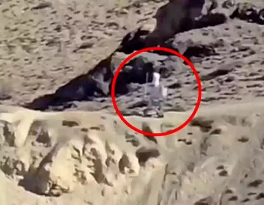 భారత సరిహద్దుల్లో ‘స్పై రోబో’ కలకలం..చైనా భయంకరమైన ప్లాన్..!