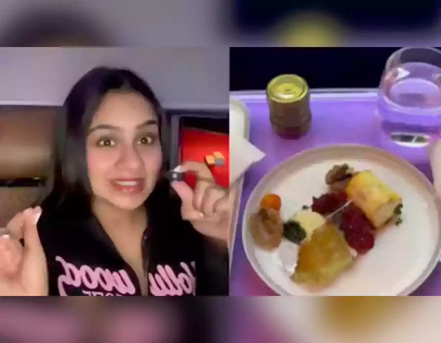 రూ.4 లక్షలు పెట్టి ఎయిరిండియా విమాన టికెట్ కొన్న యువతి.. నాసిరకం భోజనం, సీటుపై ఈగలు