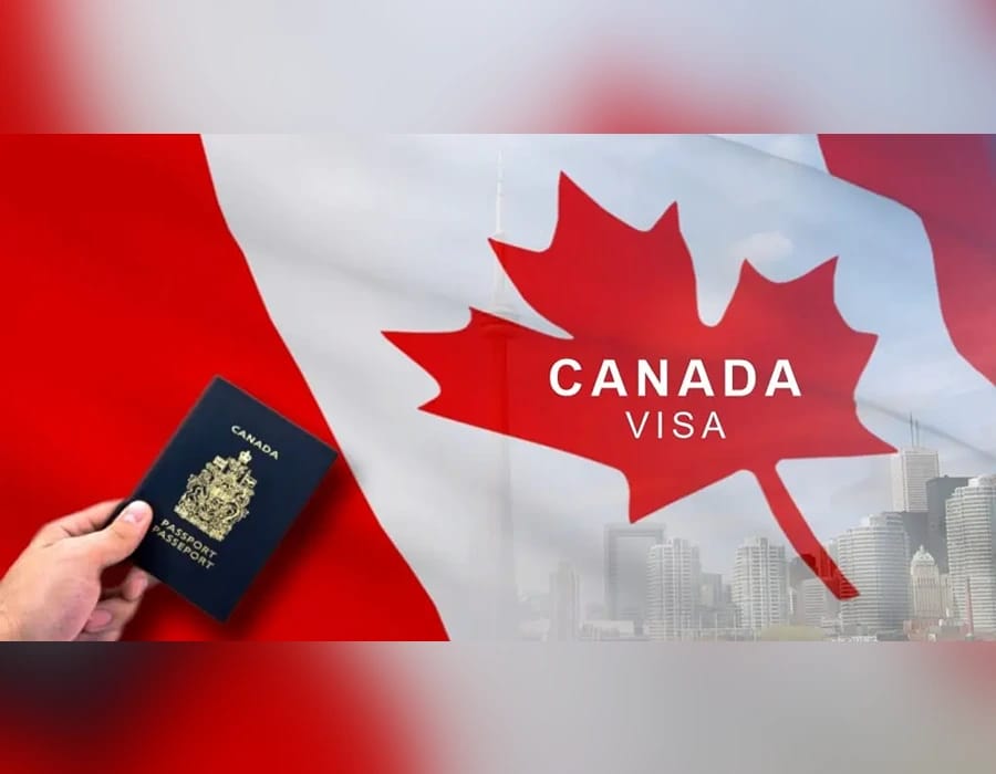 చట్టబద్ధ హోదా కోల్పోయే ప్రమాదంలో 10 లక్షల మంది భారతీయులు