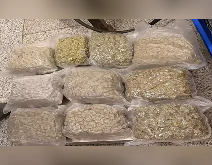 శంషాబాద్ ఎయిర్‌పోర్టులో భారీగా హైడ్రోపోనిక్ సీజ్