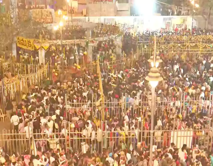 జనసంద్రంగా మారిన మేడారం – వనదేవతలను దర్శించుకుని భక్తుల పారవశ్యం