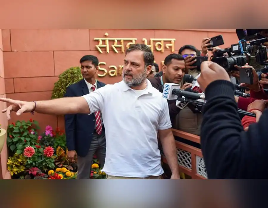 న‌ర‌వ‌ణే అబ‌ద్ధం చెబుతున్నారా?.. పెంగ్విన్ అబ‌ద్దం చెబుతుందా?