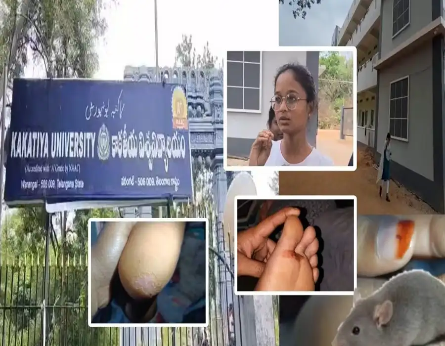 విద్యార్థినులపై ఎలుకల దాడి.. 11 మందికి గాయాలు..