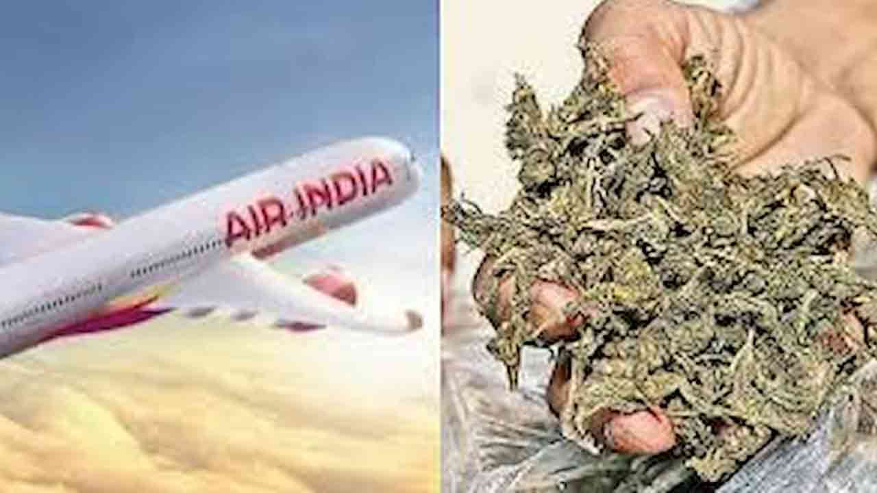 అమెరికాలో గంజాయితో పట్టుబడ్డ ఎయిరిండియా కో పైలట్