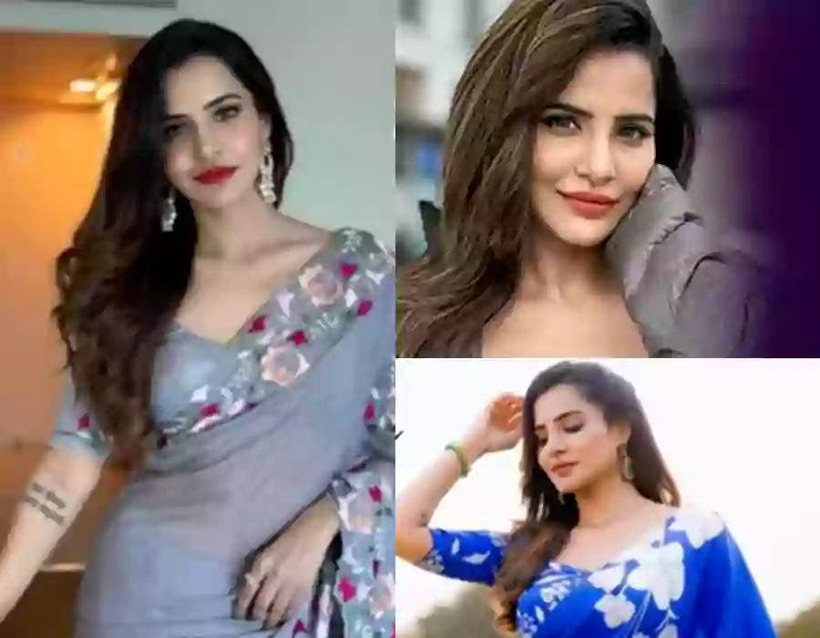 నటి అషురెడ్డి కుటుంబంపై నాన్ బెయిలబుల్ కేసు