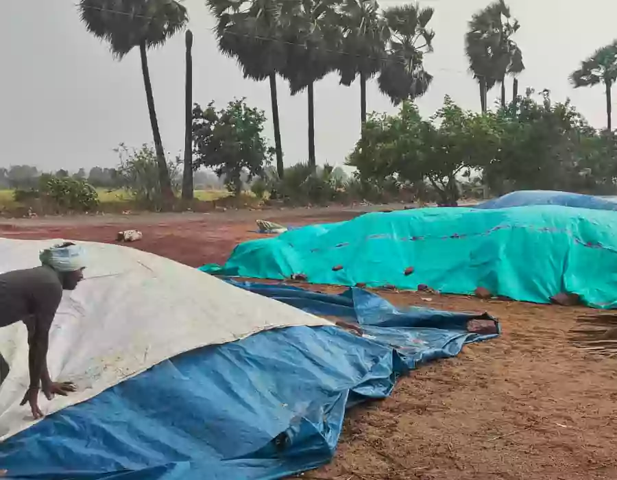 ములుగు జిల్లాలో ఈదురుగాలులతో వర్షం..కొనుగోలు కేంద్రాల్లో తడిసిన ధాన్యం