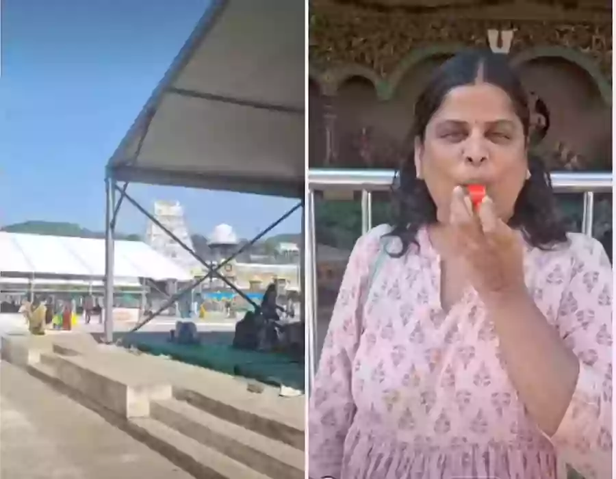 ​తిరుమలలో భక్తురాలి అత్యుత్సాహం!..విజయ్ పార్టీకి ఓటు వేయాలని అభ్యర్థన