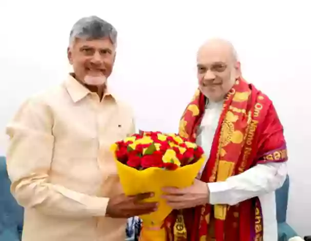 కేంద్ర హోంమంత్రి అమిత్‌ షాతో సీఎం చంద్రబాబు భేటీ
