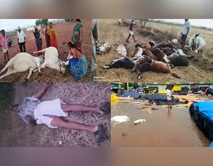 నాగర్‌కర్నూల్ జిల్లాలో గాలివాన బీభత్సం