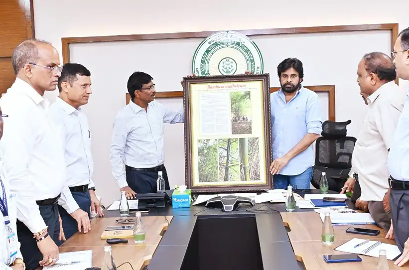 జులై 3 నాటికి గ్రీనింగ్ సొసైటీ ఏర్పాటు చేయాలి: పవన్ కల్యాణ్