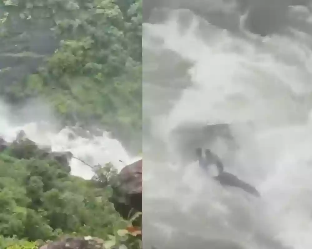 జలపాతంలో చిక్కుకున్న ఏపీ స్టూడెంట్స్..