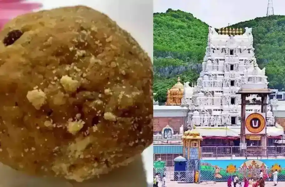 రికార్డ్ బ్రేక్ చేసిన తిరుమల శ్రీవారి లడ్డూ
