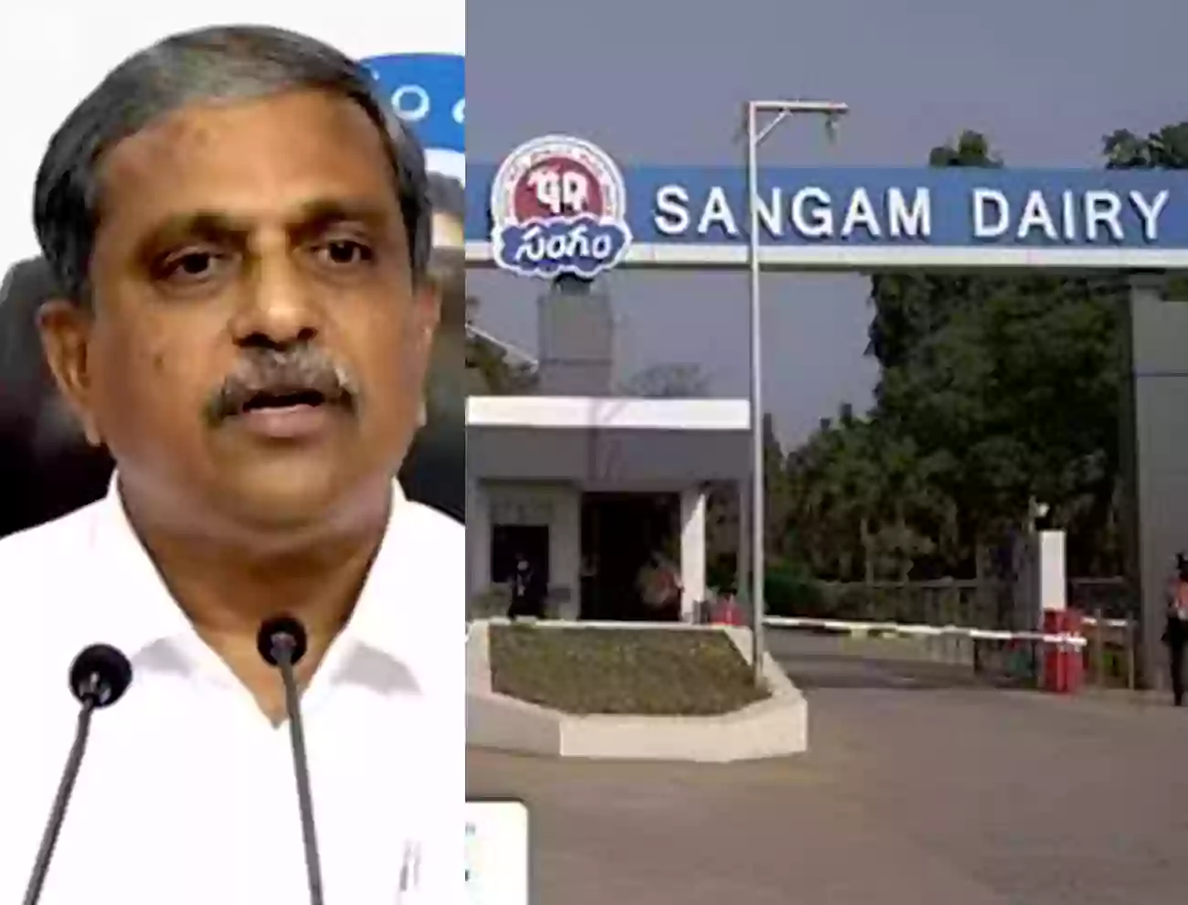 వైకాపా నేత సజ్జలపై సంగం డెయిరీ పరువు నష్టం దావా